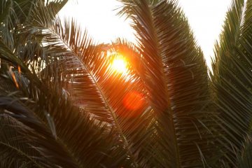 Vakantie zuid Sardinie - Hotel in Calasetta - Hotel Luci del Faro